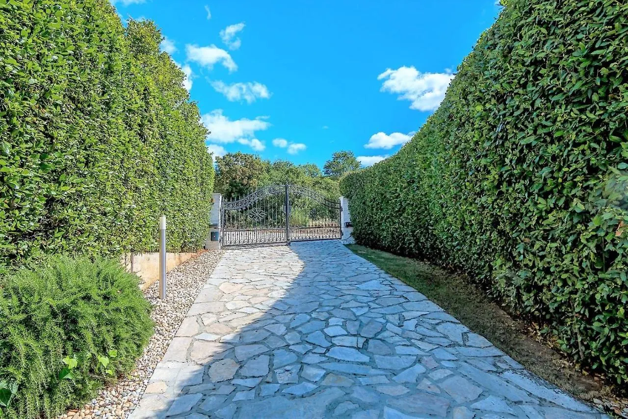 Πανσιόν Holiday House Queens With Sea View Selce